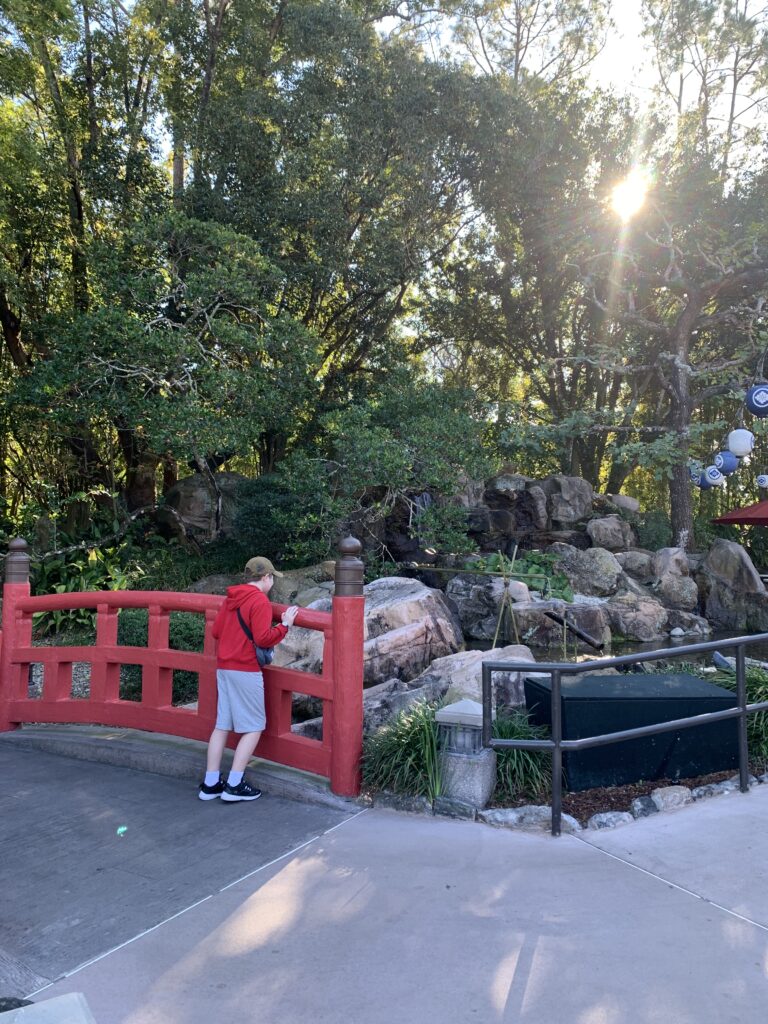 Quiet seating area at Walt Disney World where families can take a break from busy attractions